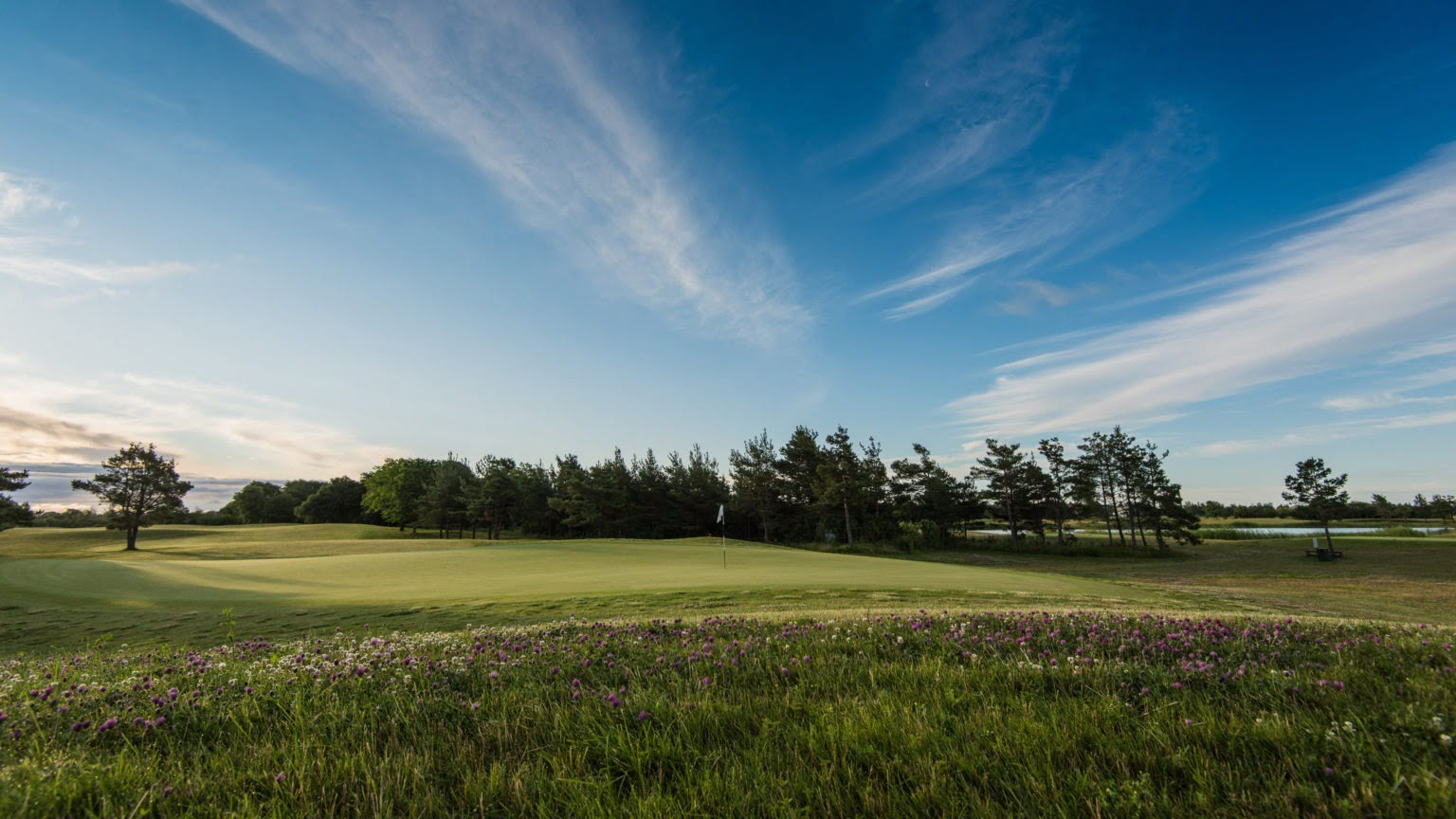 Saare Golf Course, Estland