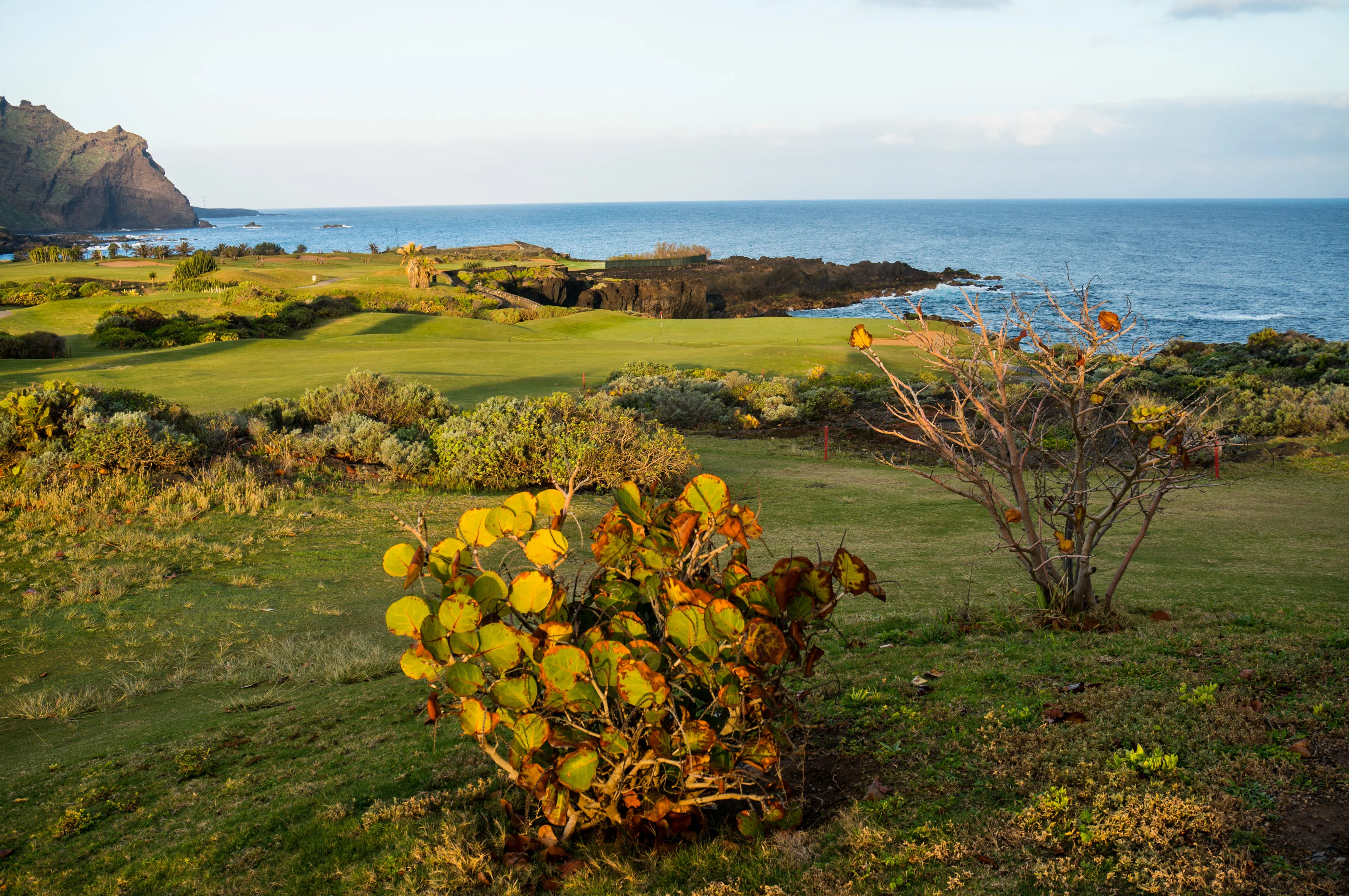 Buena Vista Golf, Tenerife, Spain