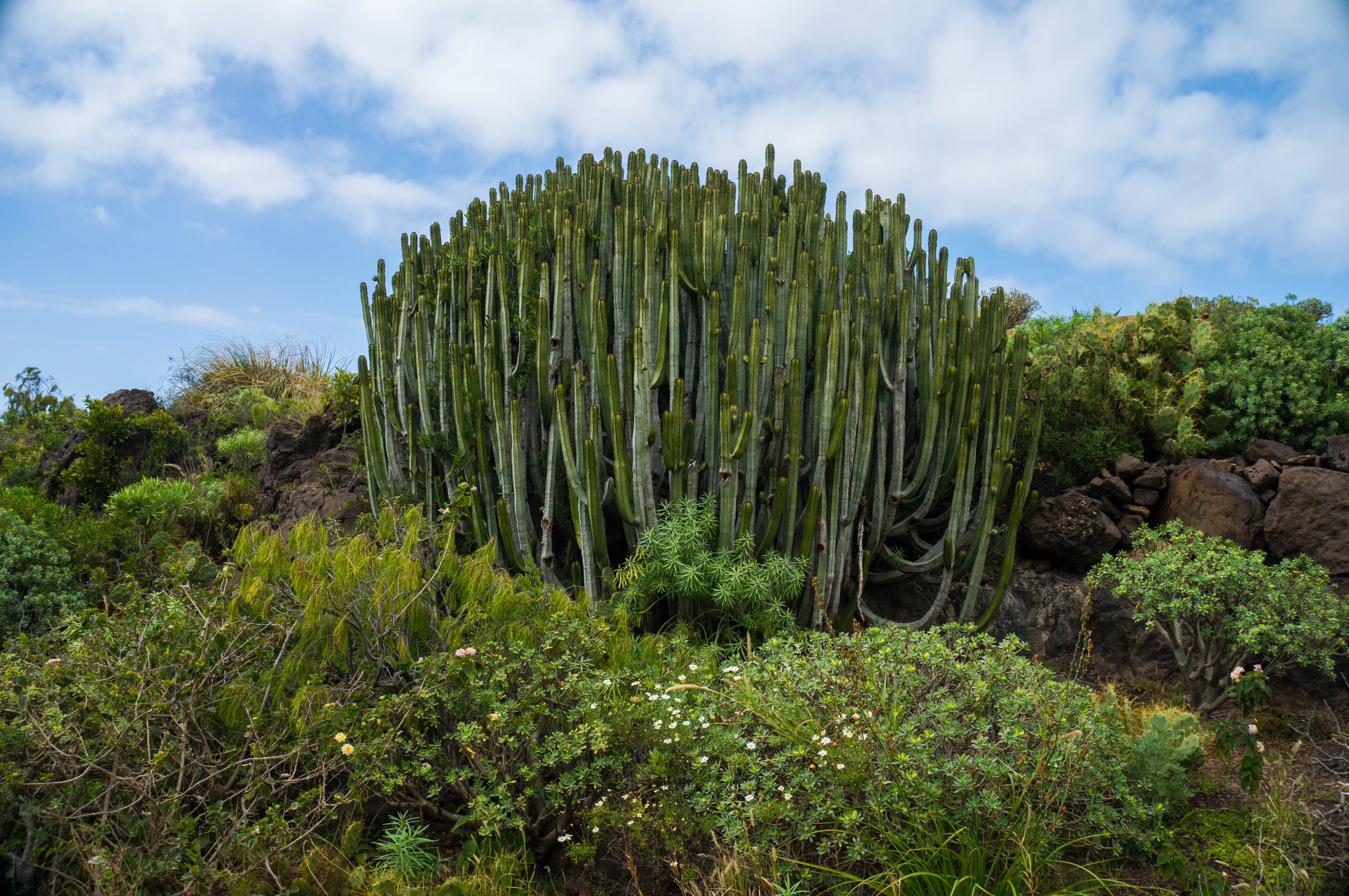 Buena Vista Golf, Tenerife, Spain