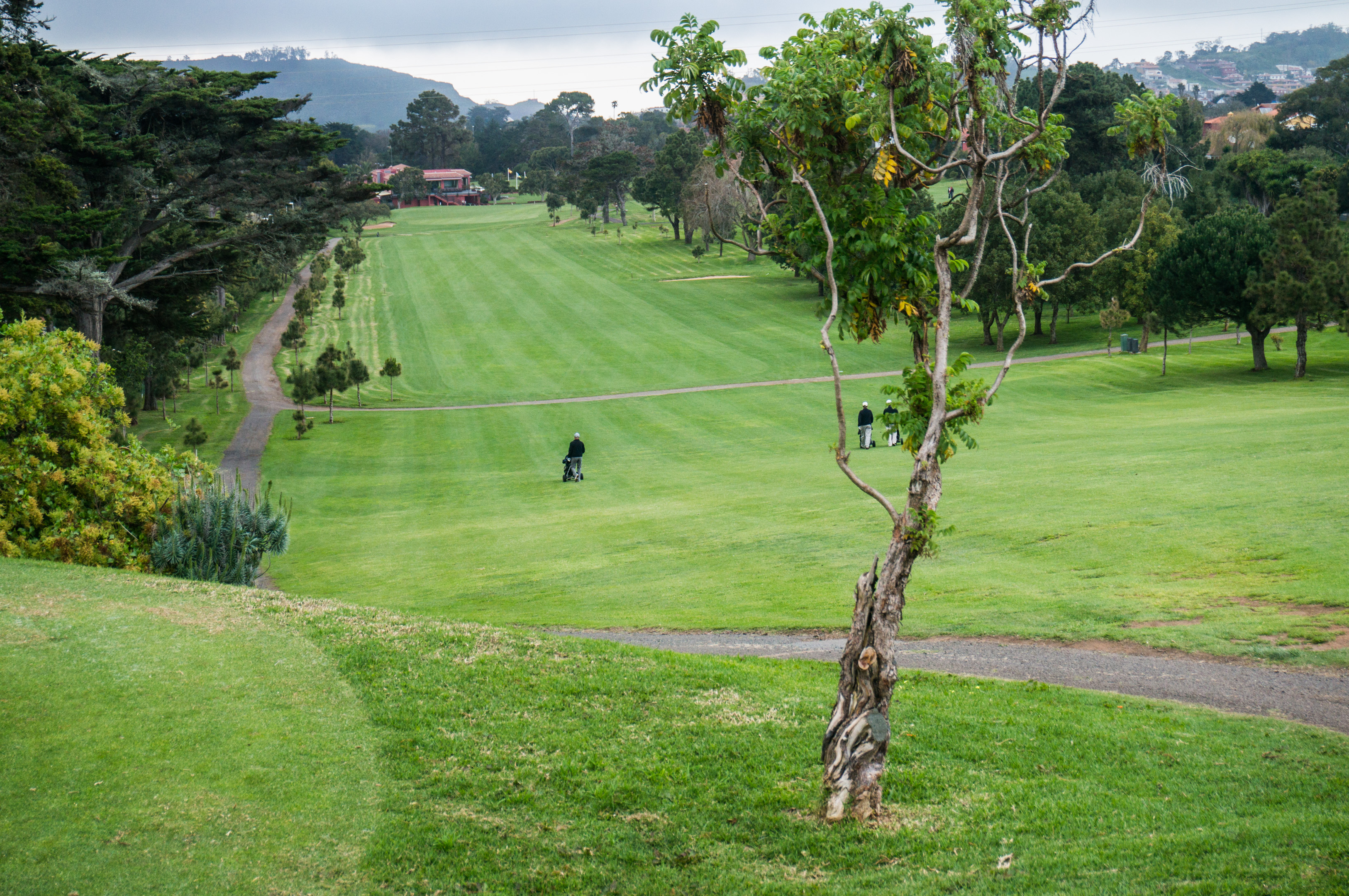 Real Club de Golf, Tenerife, Spain